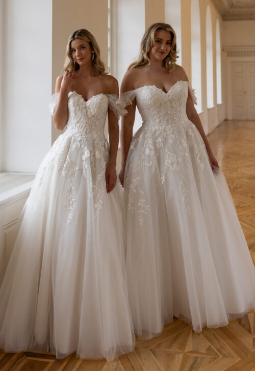 De-Luxe-10007_DELUXE-14 plussize prinsessenjurk van Diane Legrand